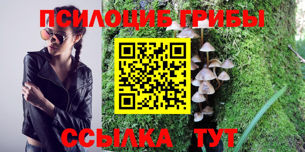 Псилоцибиновые грибы GOLDEN TEACHER Волгодонск