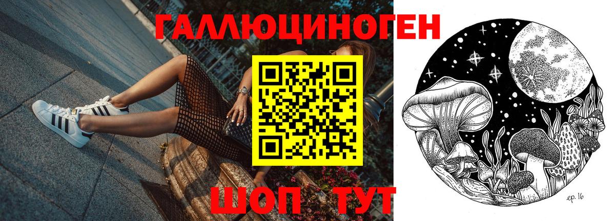 Галлюциногенные грибы Psilocybine cubensis  Вход с VPN  Галлюциногенные грибы прущие грибы  Волгодонск 